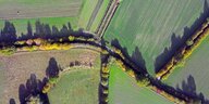 Luftaufnahme von Hecken, Feldern und Wiesen